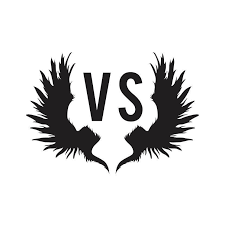 Logo Velo Santo